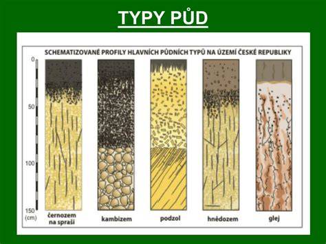 grafika: rozdělení typů půd podle zrnitostního složení