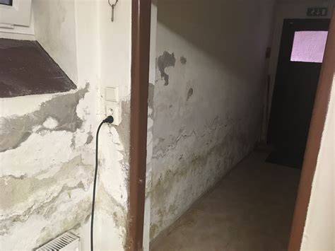 destruktivní odběr vzorků ze zdiva