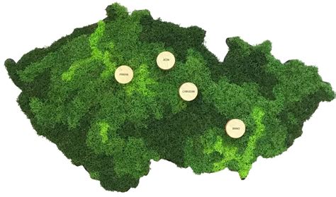 mapa rozšíření mechu na střechách