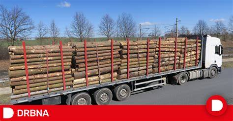 logistika velkoobchodu se dřevem