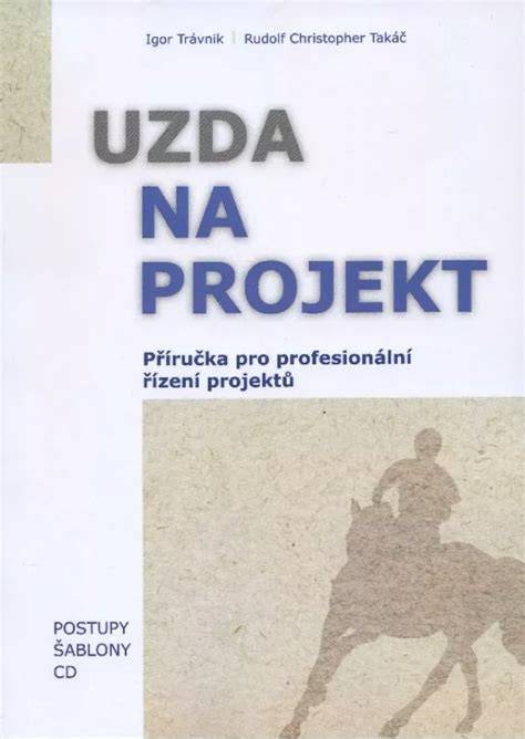 profesionální tým a řízení projektu