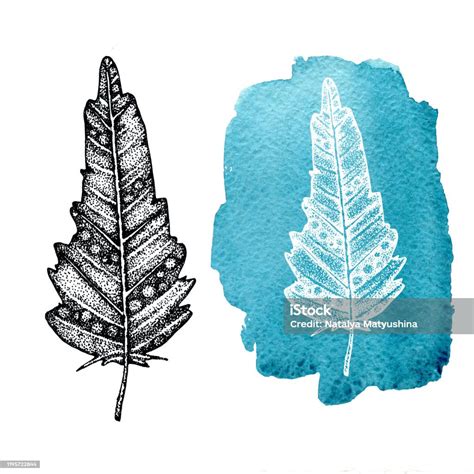 grafická ilustrace rozlivu stěrky