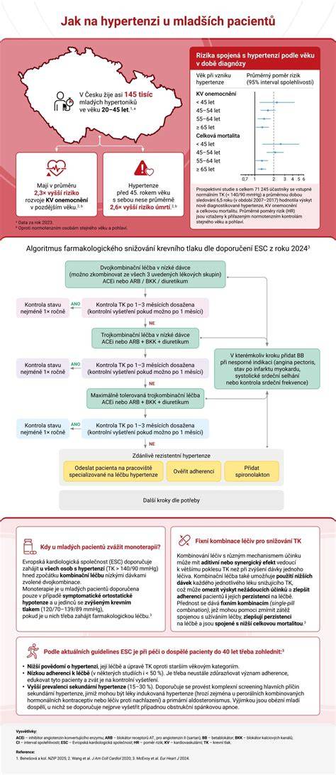 infografika_přehled_nad_krokvemi_a_mezikrokvemi
