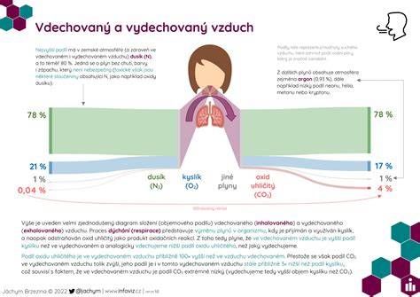 Infografika: rozdelovaci vzduch a jeho funkce