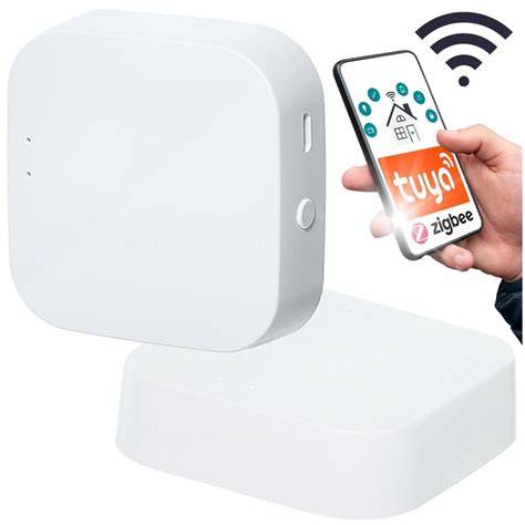 inteligentni dum a wifi