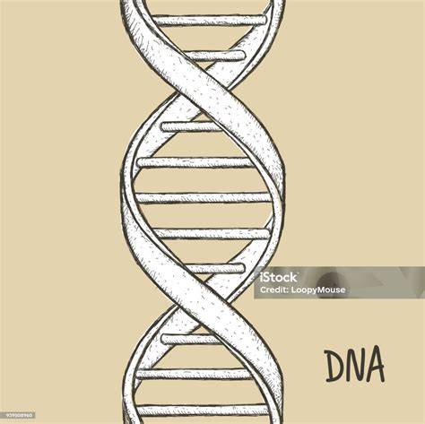 ilustrace konstrukce šachtového dna a dílců
