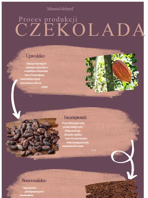 Infografika: proces přepravy pračky