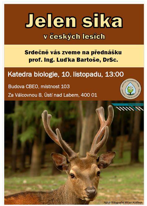jelen_sika_fota_informace