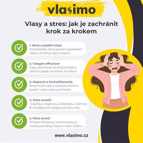 infografika o vyhledavačich a jejich umístění lišt