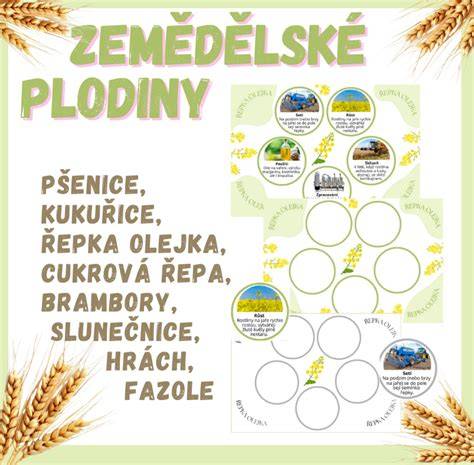 postup finálního zpracování lakováním