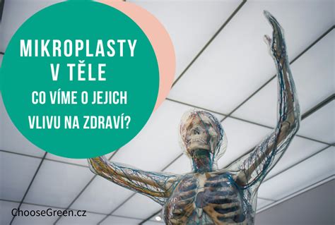 Hlukové úrovně v kancelářích a jejich vliv na pracovní výkon