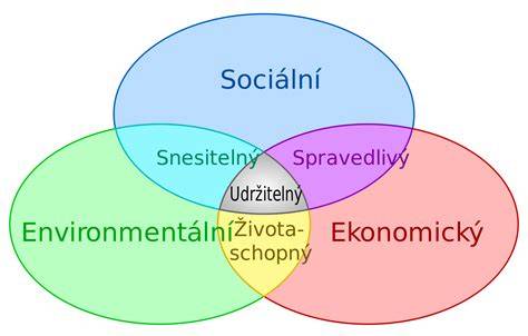 Ekologické a ekonomické přínosy foukané izolace