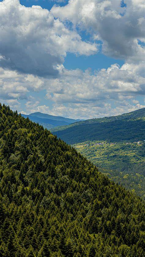 krajina a lesy vápenného podolu