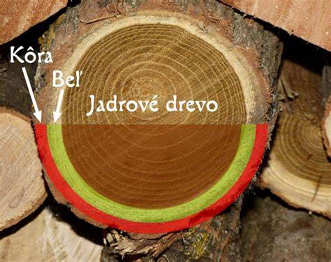 vosky-na-drevo-a-stuky-infografika
