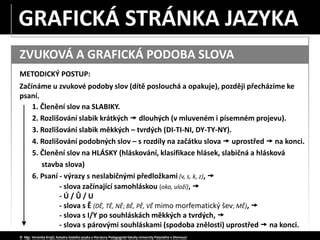 graficka-podoba-kmen.jpg